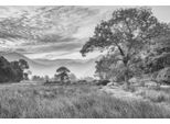 Fototapete papermoon "LANDSCHAFT-SCHWARZ WeißNatur BÄUme Berge Gebirge Wald", Bunt, B:4,5M L:2,8M, Vlies, Tapeten