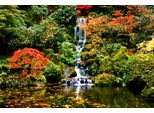 Fototapete Papermoon "Wasserfall In Japanischen Garten", Bunt, B:4,5M L:2,8M, Vlies, Tapeten