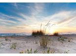 Fototapete Papermoon "Strand", Bunt, B:4,5M L:2,8M, Vlies, Tapeten
