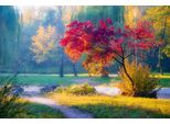 Fototapete Papermoon "Park", Bunt, B:5M L:2,8M, Vlies, Tapeten