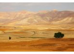 Fototapete Papermoon "Landschaft", Bunt, B:3,5M L:2,6M, Vlies, Tapeten