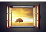 Fototapete Papermoon "Sunny Spring", Bunt, B:5M L:2,8M, Vlies, Tapeten