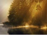 Fototapete Papermoon "Misty Early Morning", Bunt, B:5M L:2,8M, Vlies, Tapeten