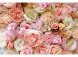 Fototapete Papermoon "Rosen", Bunt, B:3,5M L:2,6M, Vlies, Tapeten