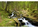 Fototapete Papermoon "Mountain River", Bunt, B:5M L:2,8M, Vlies, Tapeten