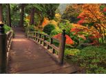 Fototapete Papermoon "Autumn Bridge", Bunt, B:5M L:2,8M, Vlies, Tapeten