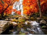 Fototapete Papermoon "Autumn Waterfall", Bunt, B:4M L:2,6M, Vlies, Tapeten
