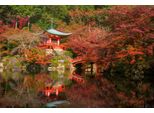 Fototapete Papermoon "Japanischer Garten", Bunt, B:3,5M L:2,6M, Vlies, Tapeten