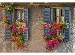 Fototapete Papermoon "Alte Fenster", Bunt, B:3,5M L:2,6M, Vlies, Tapeten