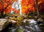 Fototapete Papermoon "Autumn Waterfall", Bunt, B:3,5M L:2,6M, Vlies, Tapeten