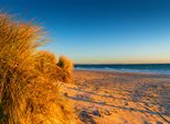 Fototapete Papermoon "Dunes Chelsea Beach Australia", Bunt, B:5M L:2,8M, Vlies, Tapeten