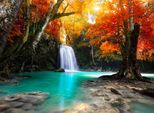 Fototapete Papermoon "Deep Forest Waterfall", Bunt, B:3,5M L:2,6M, Vlies, Tapeten
