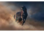 Fototapete Papermoon "Neblige Landschaft", Bunt, B:4,5M L:2,8M, Vlies, Tapeten