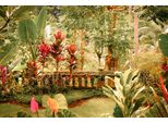 Fototapete papermoon "Alter Garten", Bunt, B:4,5M L:2,8M, Vlies, Tapeten