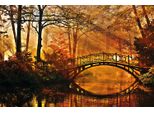 Fototapete Papermoon "Misty Park Bridge", Bunt, B:5M L:2,8M, Vlies, Tapeten