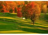 Fototapete Papermoon "Herbst Feld", Bunt, B:4,5M L:2,8M, Vlies, Tapeten