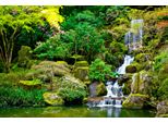 Fototapete Papermoon "Garden Pond", Bunt, B:4M L:2,6M, Vlies, Tapeten