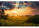 Fototapete Papermoon "Landschaft", Bunt, B:5M L:2,8M, Vlies, Tapeten