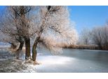 Fototapete Papermoon "Winter Fluss", Bunt, B:5M L:2,8M, Vlies, Tapeten
