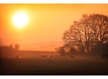 Fototapete Papermoon "Sonniger Nebliger Sonnenaufgang", Bunt, B:5M L:2,8M, Vlies, Tapeten