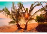 Fototapete Papermoon "Tropischer Sonnenuntergangsstrand", Bunt, B:4M L:2,6M, Vlies, Tapeten