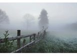 Fototapete Papermoon "Nebliges Feld", Bunt, B:4,5M L:2,8M, Vlies, Tapeten