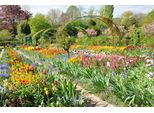 Fototapete papermoon "Monets Garten", Bunt, B:4,5M L:2,8M, Vlies, Tapeten