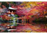 Fototapete Papermoon "Japanischer Garten", Bunt, B:5M L:2,8M, Vlies, Tapeten