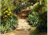 Fototapete Papermoon "Hill Garden", Bunt, B:5M L:2,8M, Vlies, Tapeten