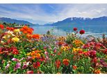 Fototapete Papermoon "BLUMEN-DESIGN Natur Landschaft Gebirge Berge Alpen See", Bunt, B:4,5M L:2,8M, Vlies, Tapeten
