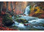 Fototapete Papermoon "Wasserfall Im Wald", Bunt, B:4,5M L:2,8M, Vlies, Tapeten