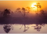 Fototapete Papermoon "Misty Morning Scenery", Bunt, B:3,5M L:2,6M, Vlies, Tapeten