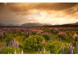 Fototapete Papermoon "GEBIRGE-FLUSS See Berge Wald Himmel Bach Wiese Blumen", Bunt, B:4,5M L:2,8M, Vlies, Tapeten
