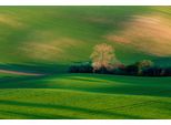 Fototapete papermoon "Feld Mit HüTte", Bunt, B:4,5M L:2,8M, Vlies, Tapeten
