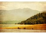 Fototapete Papermoon "LANDSCHAFT-HERBST Natur Berge Gebirge Wald BÄUme See", Bunt, B:5M L:2,8M, Vlies, Tapeten