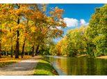 Fototapete Papermoon "River In Autumn Park", Bunt, B:5M L:2,8M, Vlies, Tapeten