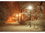 Fototapete Papermoon "Park Im Winter", Bunt, B:5M L:2,8M, Vlies, Tapeten