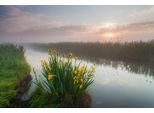 Fototapete Papermoon "Fluss Durch Feld", Bunt, B:4,5M L:2,8M, Vlies, Tapeten