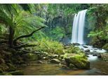 Fototapete Papermoon "Wasserfall Im Wald", Bunt, B:4M L:2,6M, Vlies, Tapeten