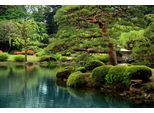 Fototapete Papermoon "Ruhiger Zen See", Bunt, B:4M L:2,6M, Vlies, Tapeten