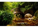 Fototapete Papermoon "BrüCke Im Wald", Bunt, B:4M L:2,6M, Vlies, Tapeten