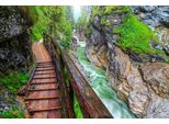 Fototapete Papermoon "Weg Am Fluss", Bunt, B:4M L:2,6M, Vlies, Tapeten