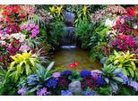 Fototapete Papermoon "Blumen Lagune Wasserfall", Bunt, B:5M L:2,8M, Vlies, Tapeten