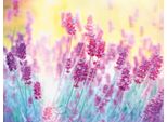 Fototapete Papermoon "Lavender Flower", Bunt, B:4M L:2,6M, Vlies, Tapeten