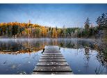 Fototapete Papermoon "Photo-Art Keller, Herbststeg", Bunt, B:4M L:2,6M, Vlies, Tapeten