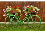 Fototapete Papermoon "Vintage Fahrrad", Bunt, B:4M L:2,6M, Vlies, Tapeten