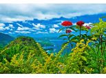 Fototapete papermoon "Landschaft Am Meer", Bunt, B:4M L:2,6M, Vlies, Tapeten