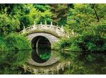Fototapete Papermoon "Japanese Garden", Bunt, B:4M L:2,6M, Vlies, Tapeten