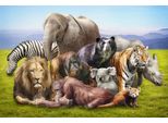 Fototapete Papermoon "Tiere", Bunt, B:4M L:2,6M, Vlies, Tapeten