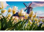Fototapete Papermoon "Landschaft Mit Bergen", Bunt, B:4M L:2,6M, Vlies, Tapeten